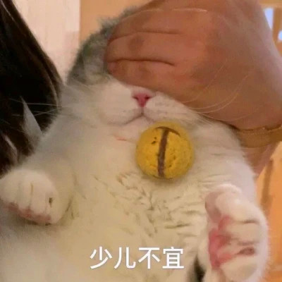 抖音小表情头像图片