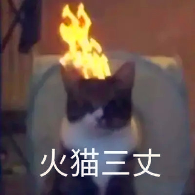 抖音小表情头像图片