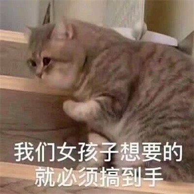 抖音小表情头像图片