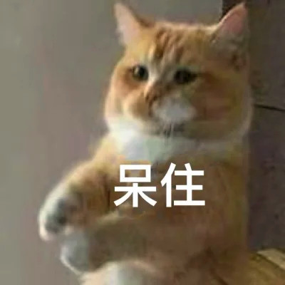 抖音小表情头像图片