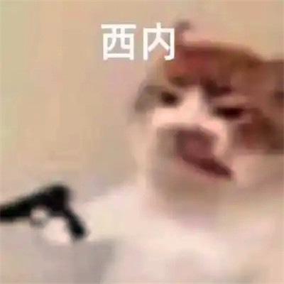 抖音小表情头像图片