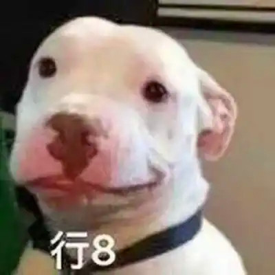 抖音小表情头像图片
