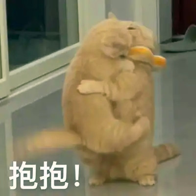 抖音小表情头像图片