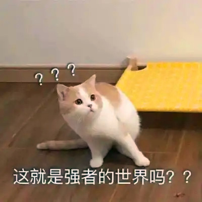 抖音小表情头像图片