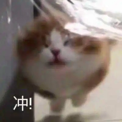 抖音小表情头像图片