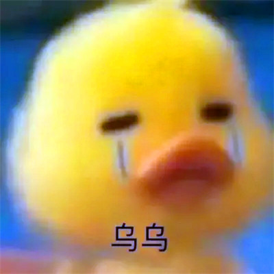 抖音小表情头像图片