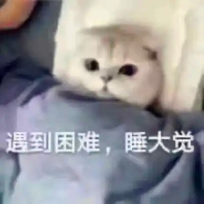 抖音小表情头像图片
