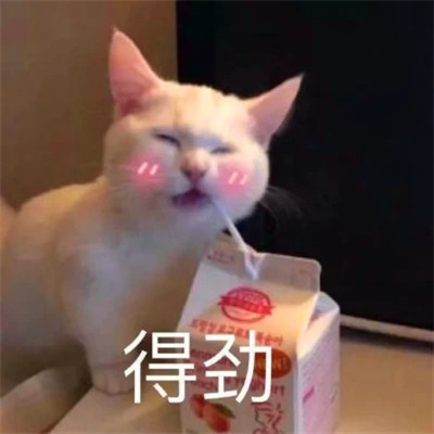 抖音小表情头像图片
