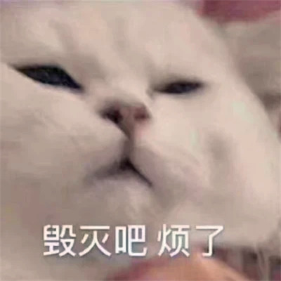表情头像可爱搞怪图片