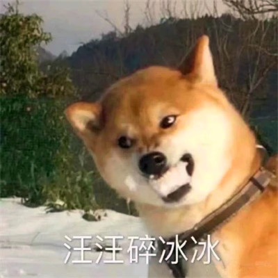 表情头像可爱搞怪图片