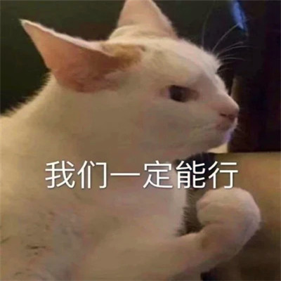 表情头像可爱搞怪图片