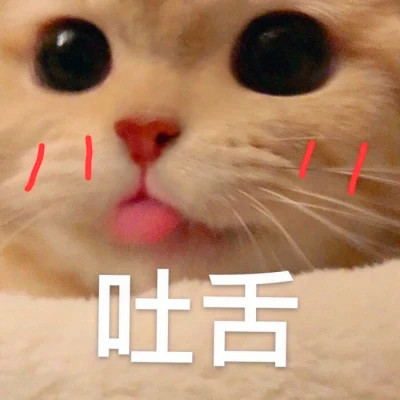 表情头像可爱搞怪图片