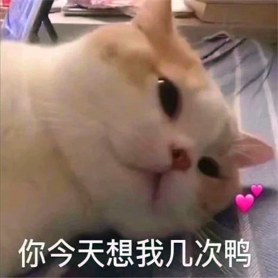 表情头像可爱搞怪图片