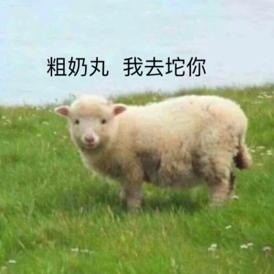表情头像可爱搞怪图片