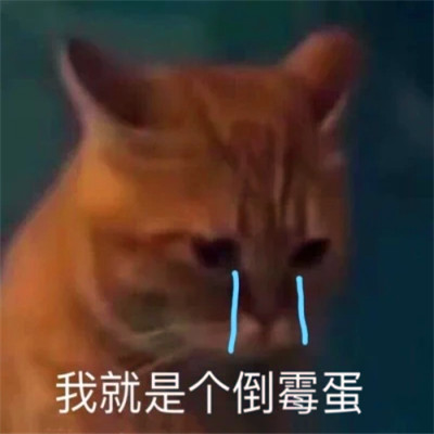表情头像可爱搞怪图片
