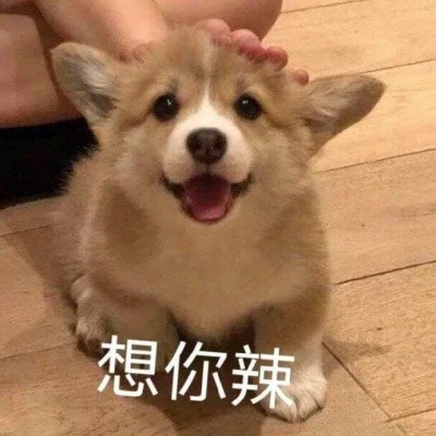 表情头像可爱搞怪图片