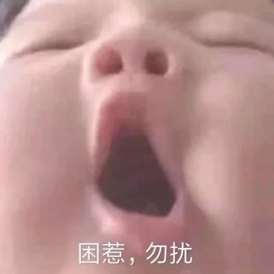 qq表情包头像可爱图片