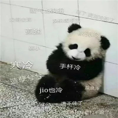 qq表情包头像可爱图片