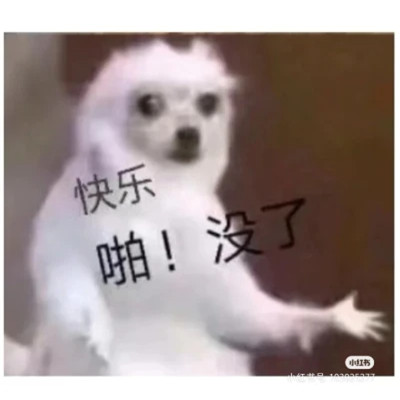 qq表情包头像可爱图片