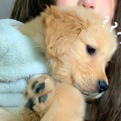 情侣头像小众不烂大街