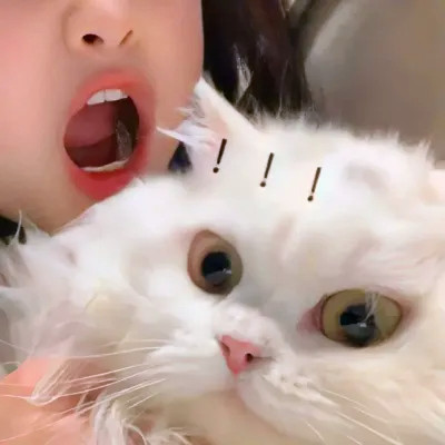 我的对象不是人情头