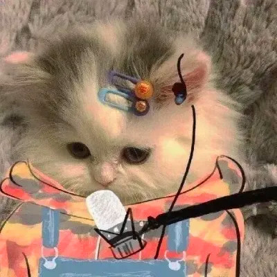 我的对象不是人情头
