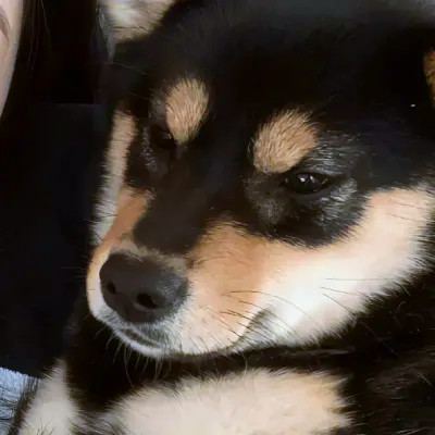 我的对象不是人情头