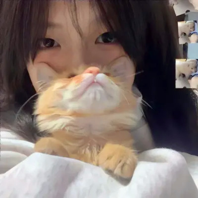 我的对象不是人情头