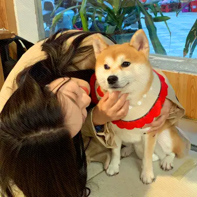 我的对象不是人情头
