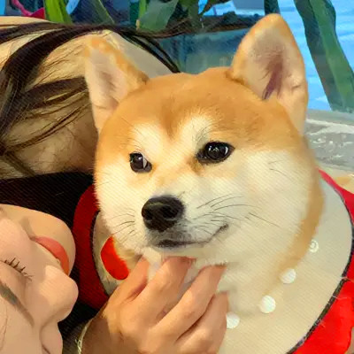 我的对象不是人情头