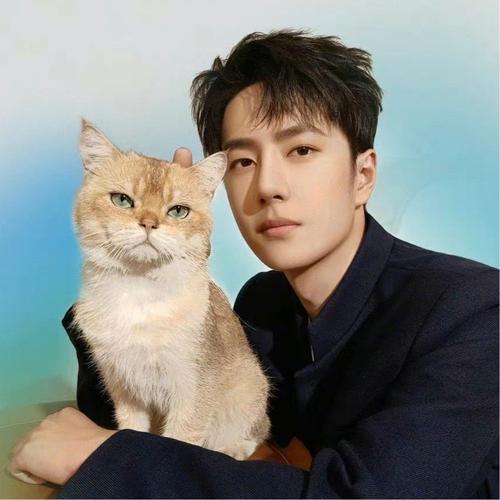 2025最好的男人头像图片