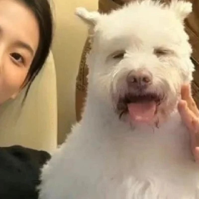 高清情侣头像真人图片