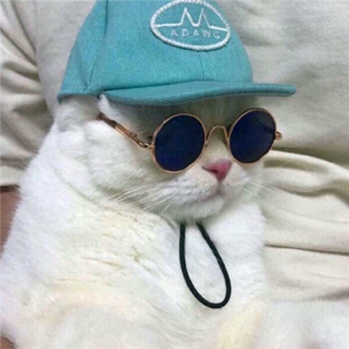 头像女生沙雕可爱