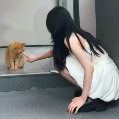 2025年女生头像火爆来袭