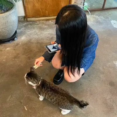2025年女生头像火爆来袭