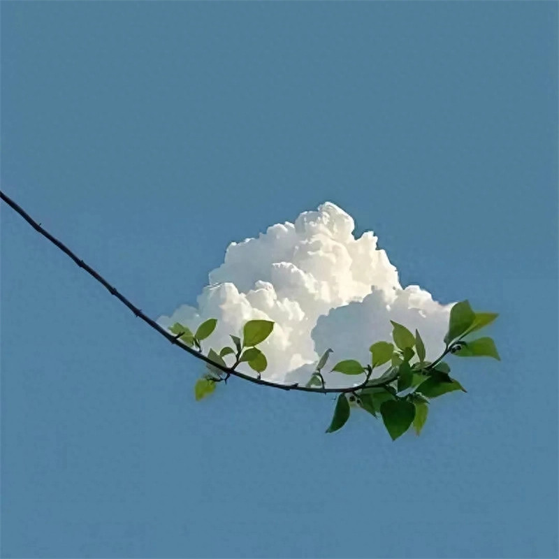 白云风景头像图片高清