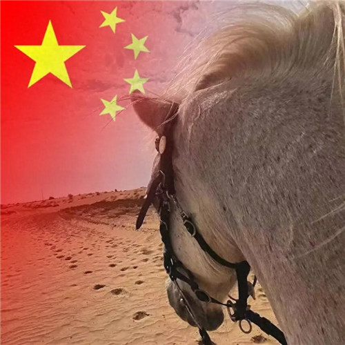 2025最新款微信国庆头像图片