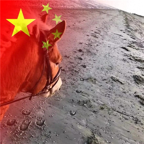 2025最新款微信国庆头像图片