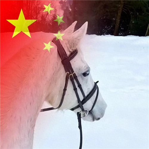2025最新款微信国庆头像图片