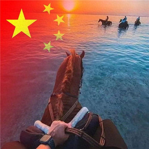2025最新款微信国庆头像图片