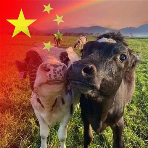 2025最新款微信国庆头像图片
