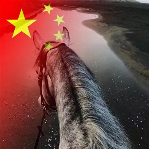 2025最新款微信国庆头像图片