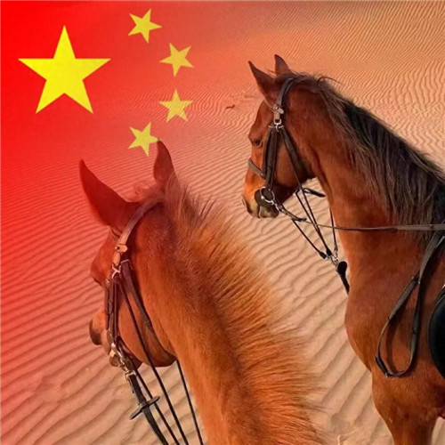 2025最新款微信国庆头像图片
