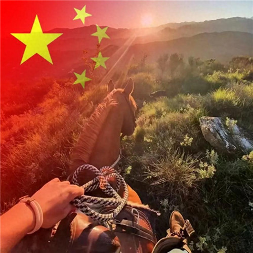 2025最新款微信国庆头像图片