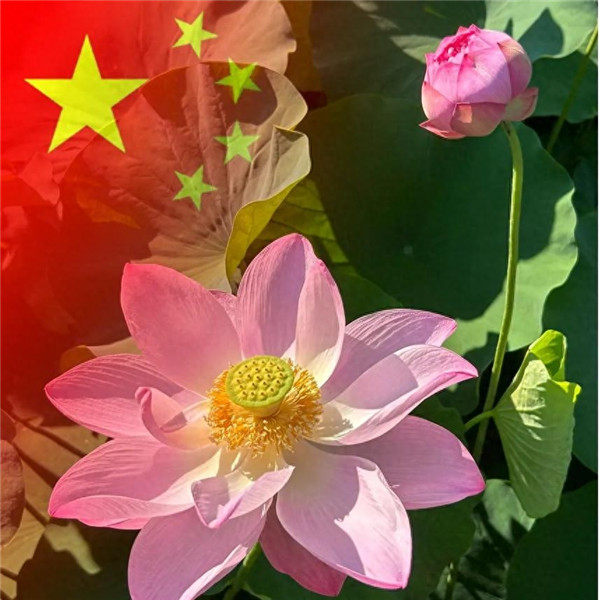 花开富贵女士国庆专用头像图片