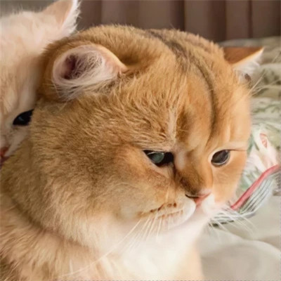 情侣头像抖音一左一右
