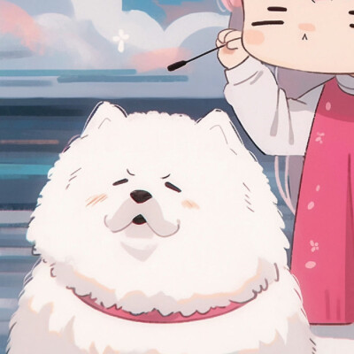 对象不是人系列情头