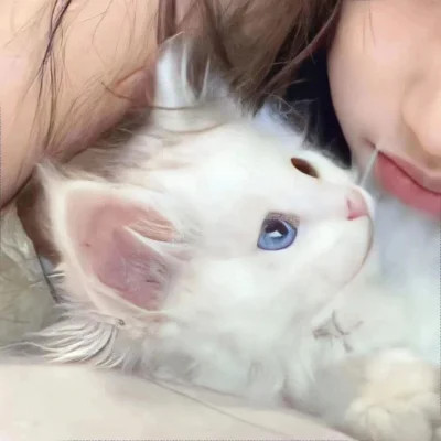 对象不是人系列情头