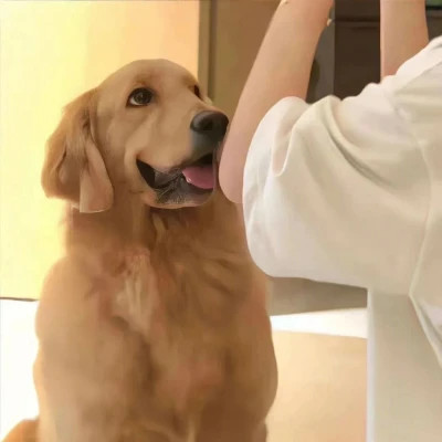 对象不是人系列情头