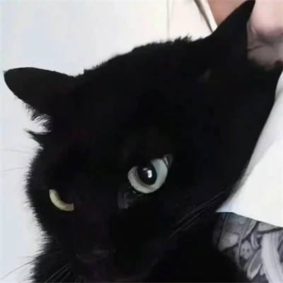 对象不是人系列情头